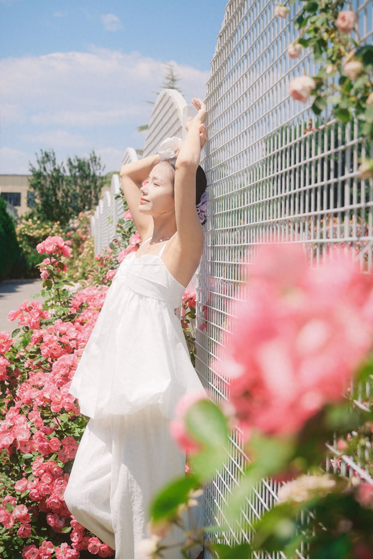 Photo by Sun Palace Park - Rose Avenue