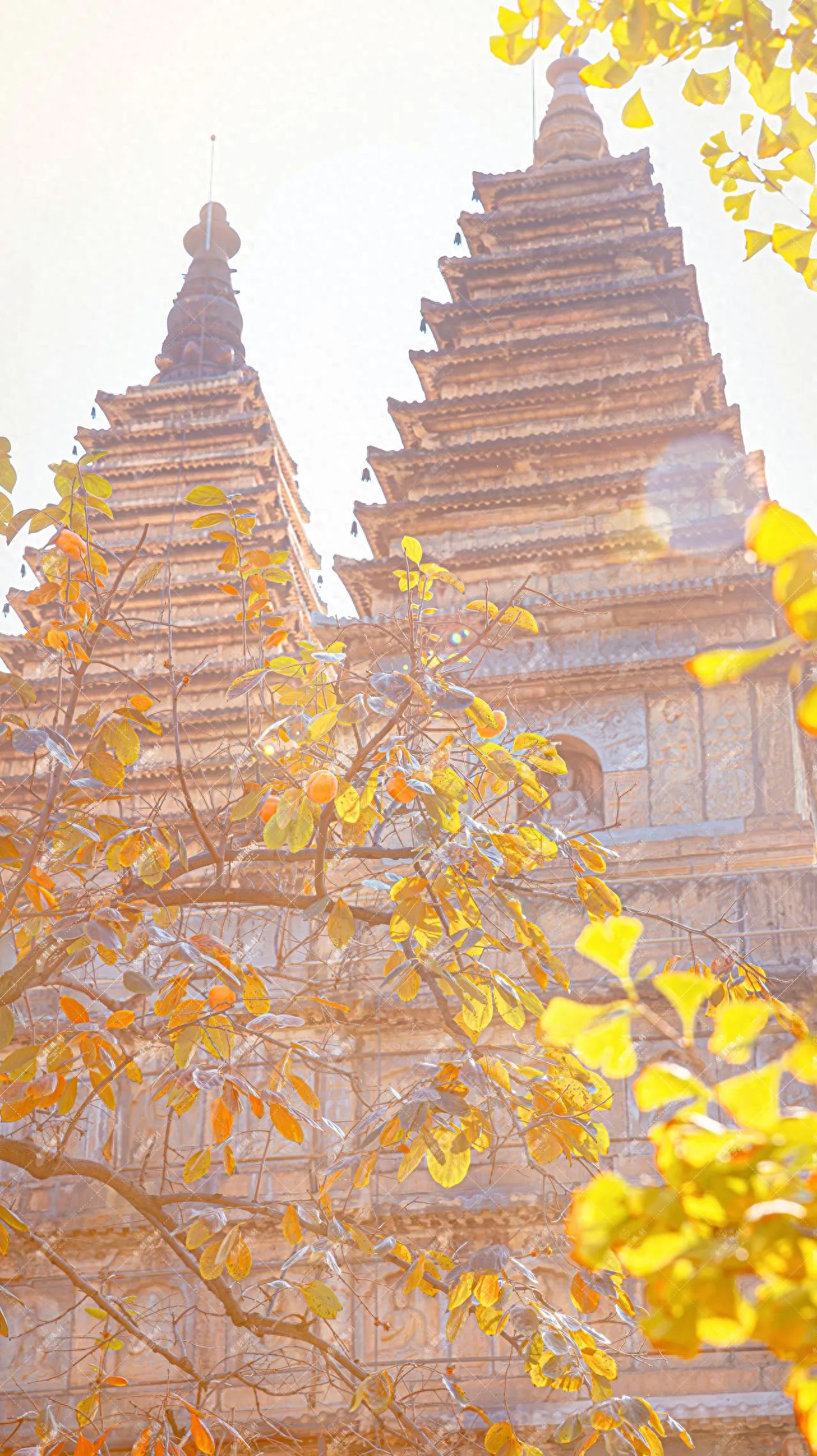 Photo by Beijing Stele Art Museum - Pagoda in the Same Frame
