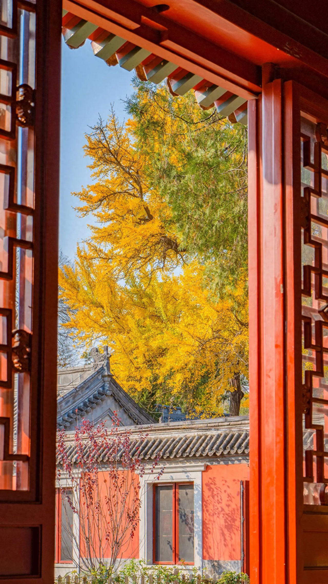Photo by Beijing Wanshou Temple - Ginkgo and Red Wall Outside the Window Frame