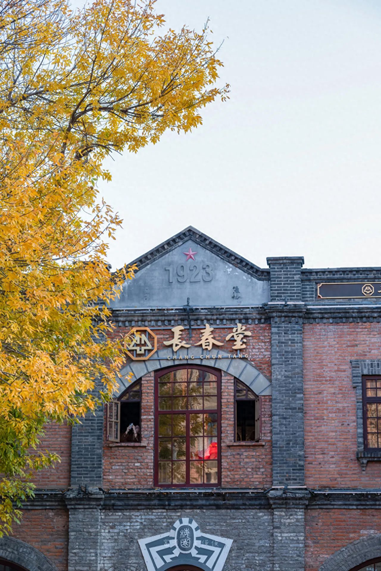 Photo by Beijing May 4th Street - In front of Changchun Hall, the leaves of the Fraxinus mandshurica tree