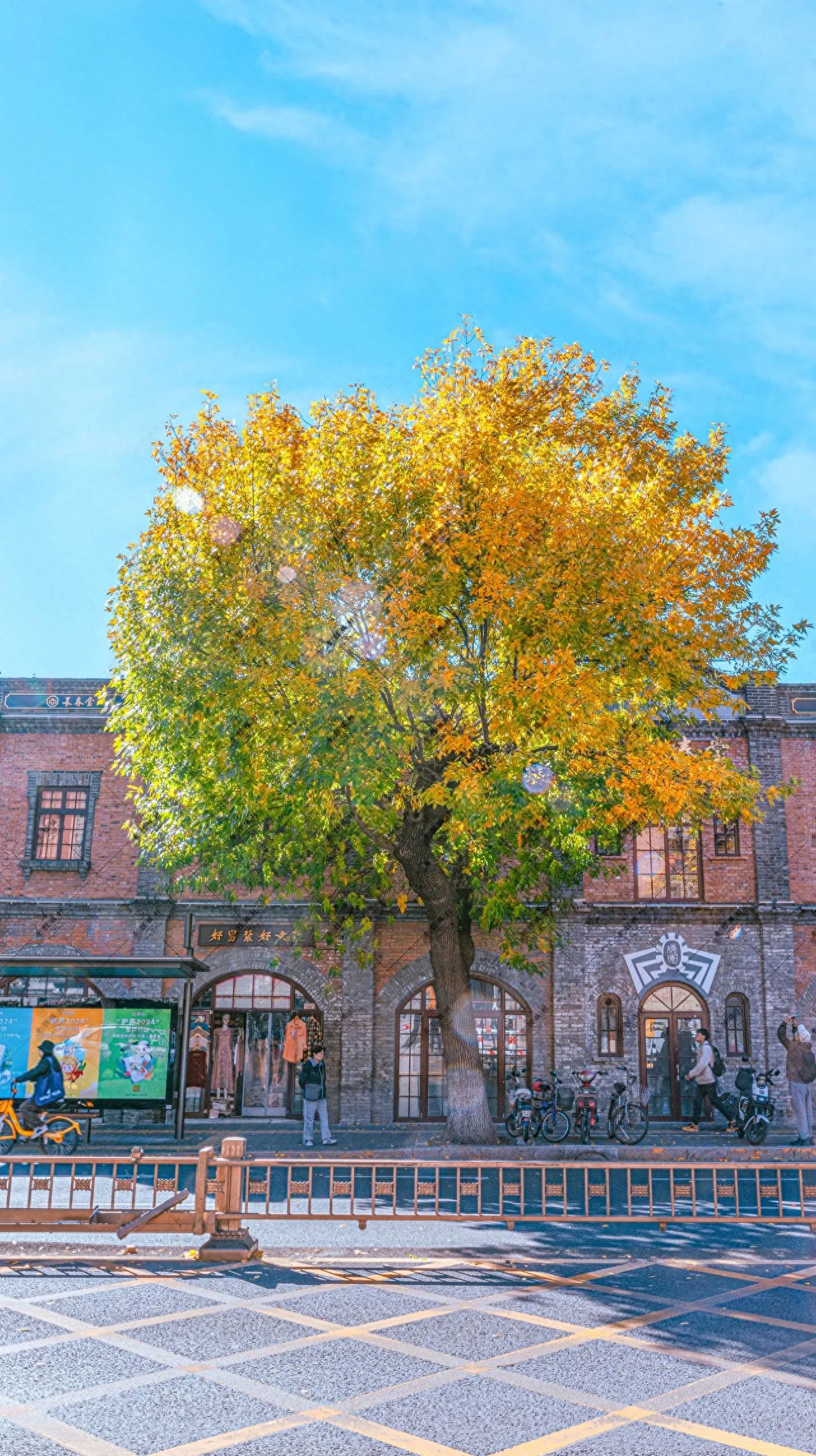 Photo by Beijing May 4th Street - Fraxinus Trees and Brick Wall Shops