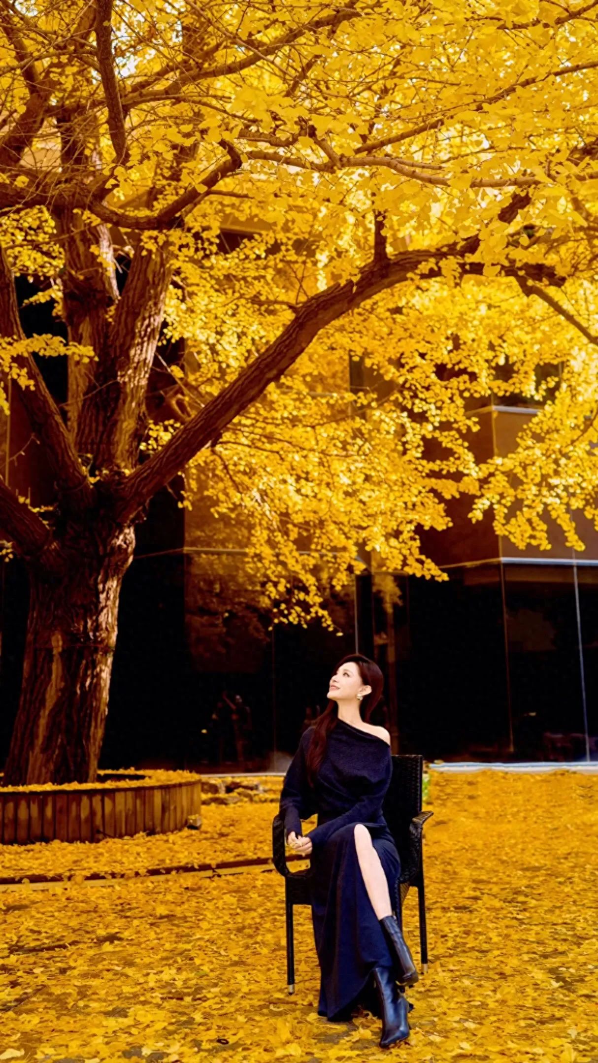 The photographer uses a low angle with a slight upward tilt, capturing the model sitting on the ground covered with fallen leaves, with the background including ginkgo trees and part of a building's glass wall to highlight the autumn atmosphere and the integration of the character. The model is positioned on the right third line of the frame, with the left side filled with tree trunks and layered canopies to enhance the balance and depth of the image.

1. Travel Tips: It is recommended to go for the shoot in the morning.
2. Outfit Suggestions: It is suggested to wear black and white colored clothing.