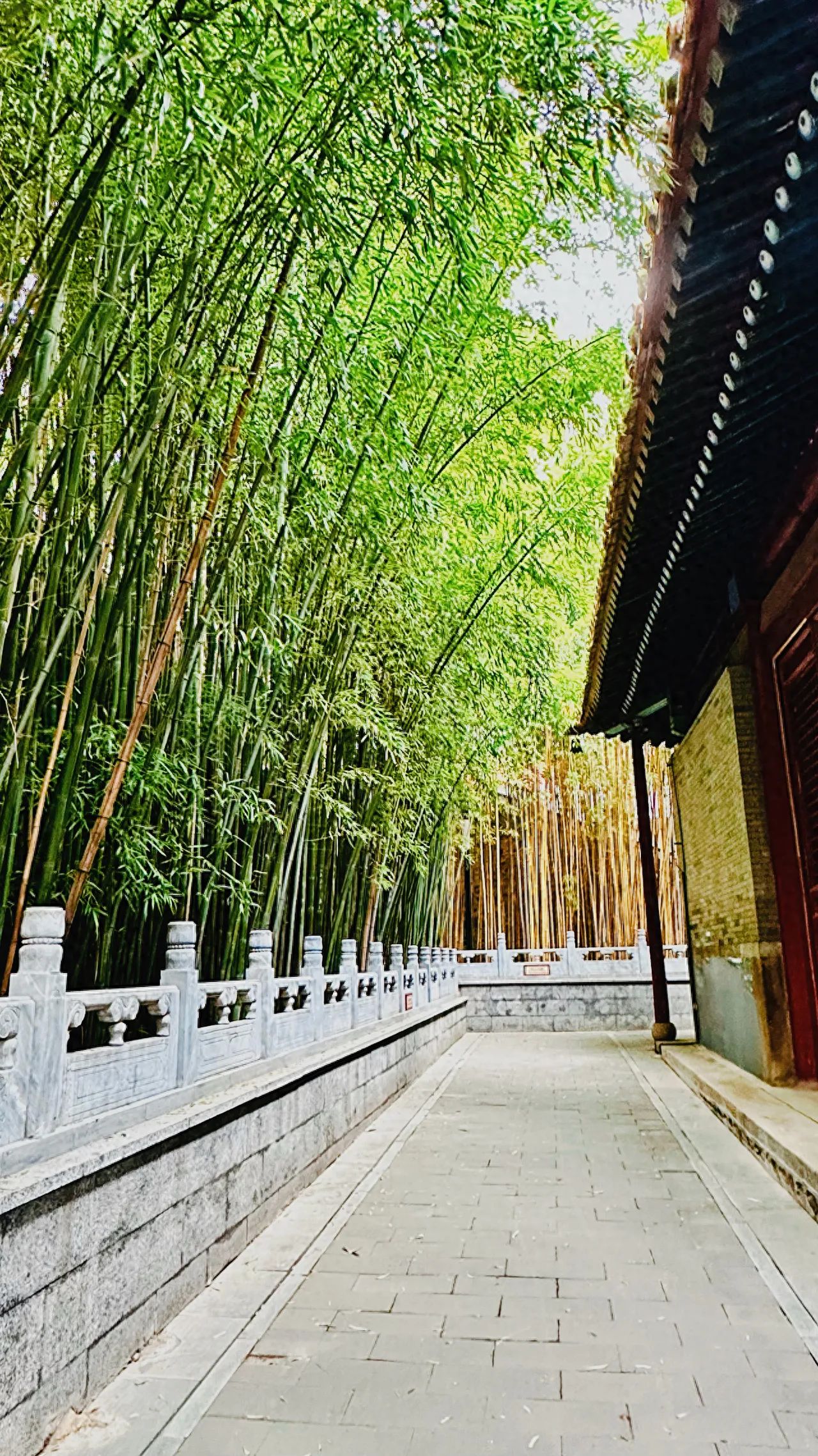 Photo by Tanzhe Temple - Eaves Guardrail Walkway Bamboo Forest