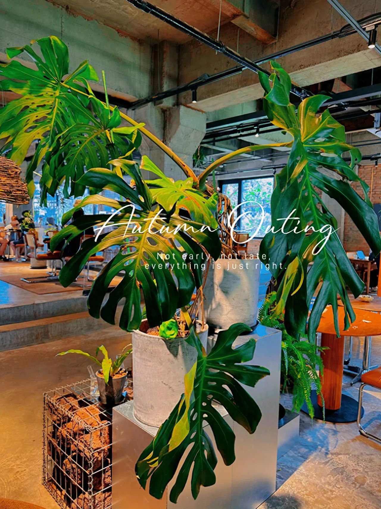 Photo by Yi Chi Garden Shougang Store - Indoor Greenery and Vintage Decor