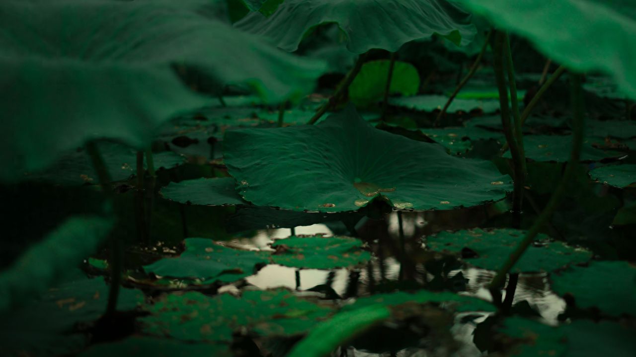 Photo spot in Bozhou University (Nanhu Campus), China