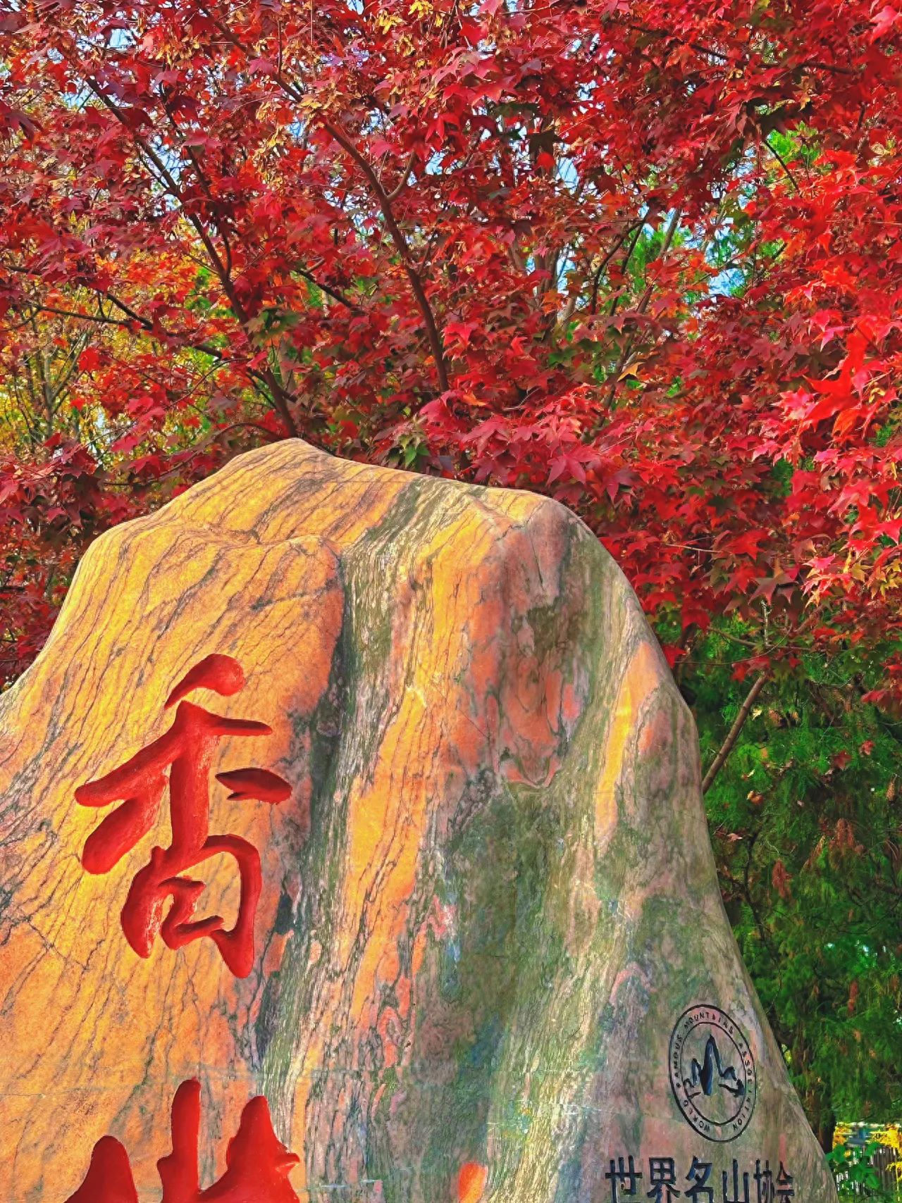 Photo by Beijing Fragrant Hills Park - Fragrant Hills Stones and Red Maples