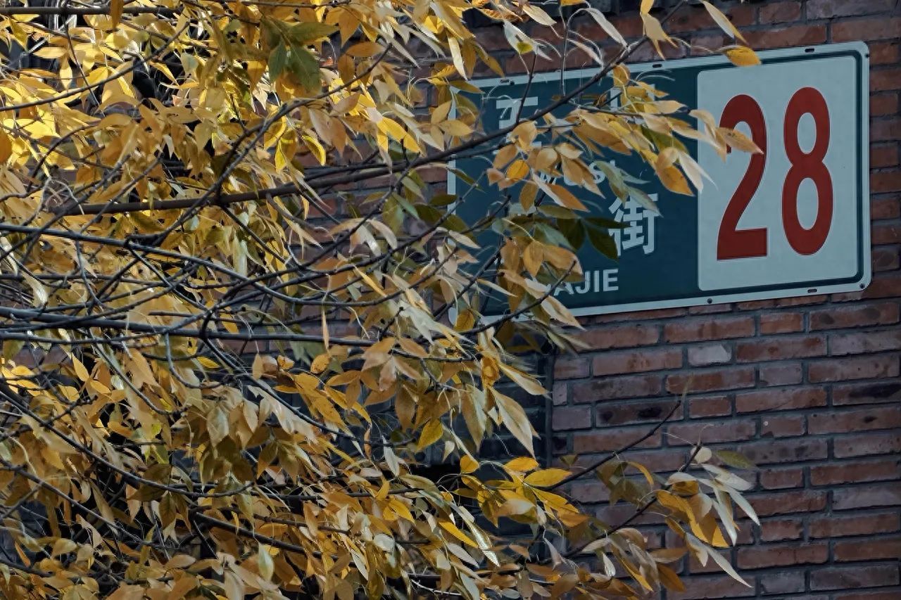Photo by Beijing May 4th Street - Trees and Street Signs in the Same Frame