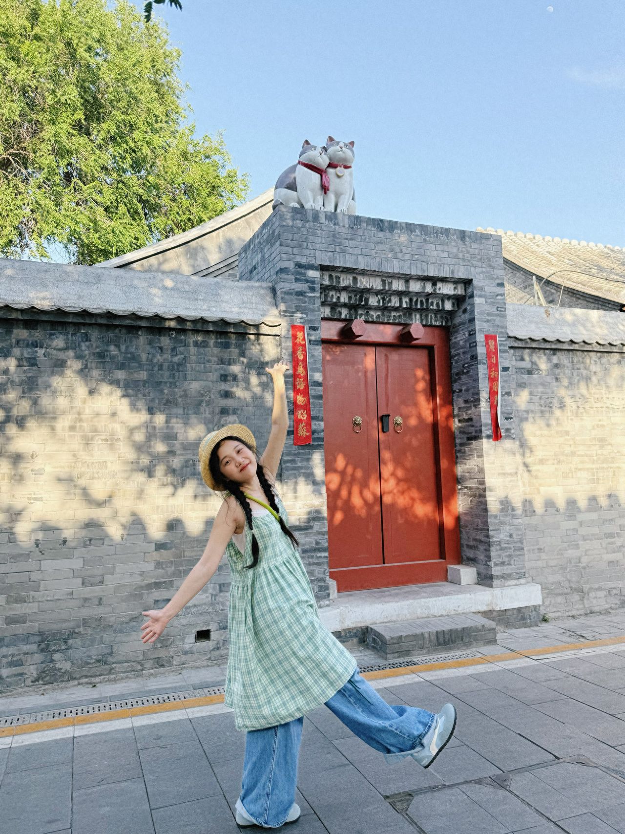 Photo by Romantic Hutong - Two Kittens on the Roof and the Red Gate