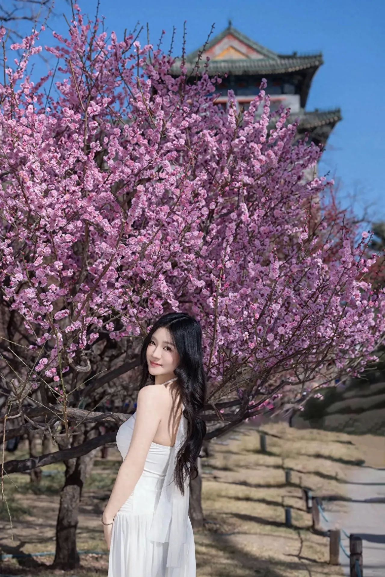 Photo by Beijing Ming City Wall Relics Park - Taking a Photo with Red Plum Blossoms