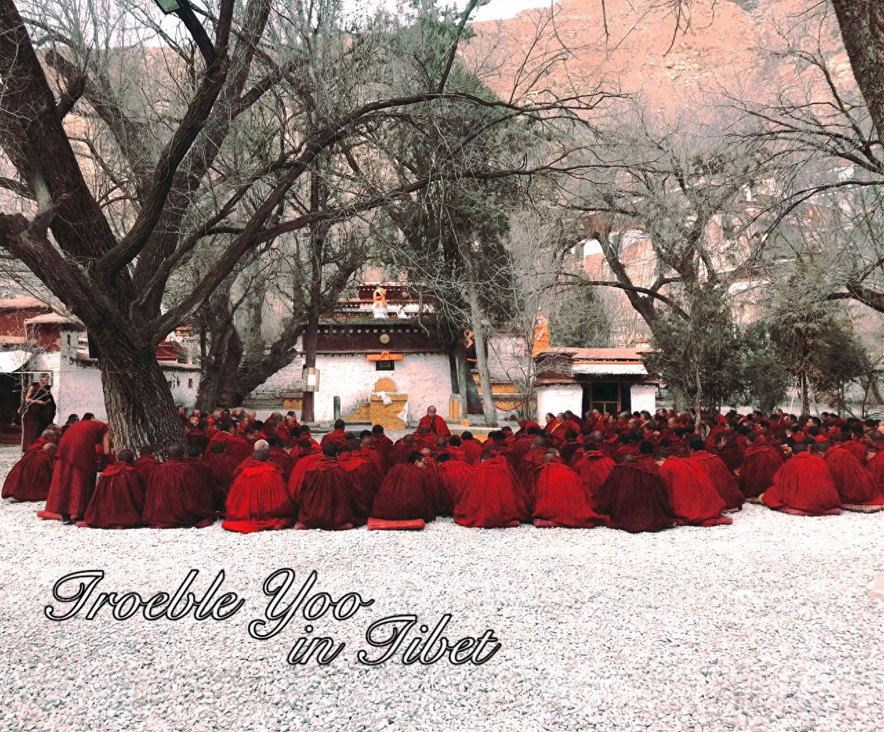 Photo spot in Drepung Monastery, China