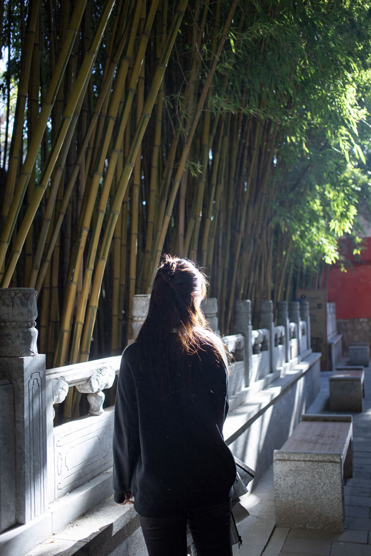 Photo by Tan Zhe Temple - Bamboo Forest and Stone Railing