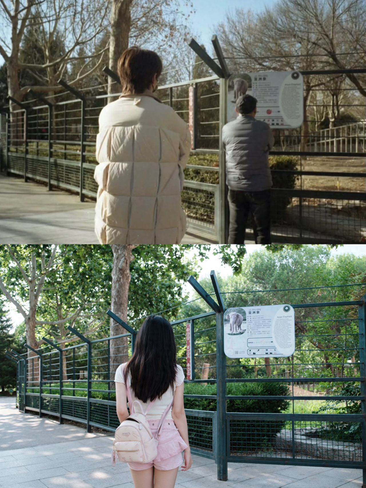 Photo by Beijing Zoo - Song Yaxuan's Same Style Asian Elephant Fence