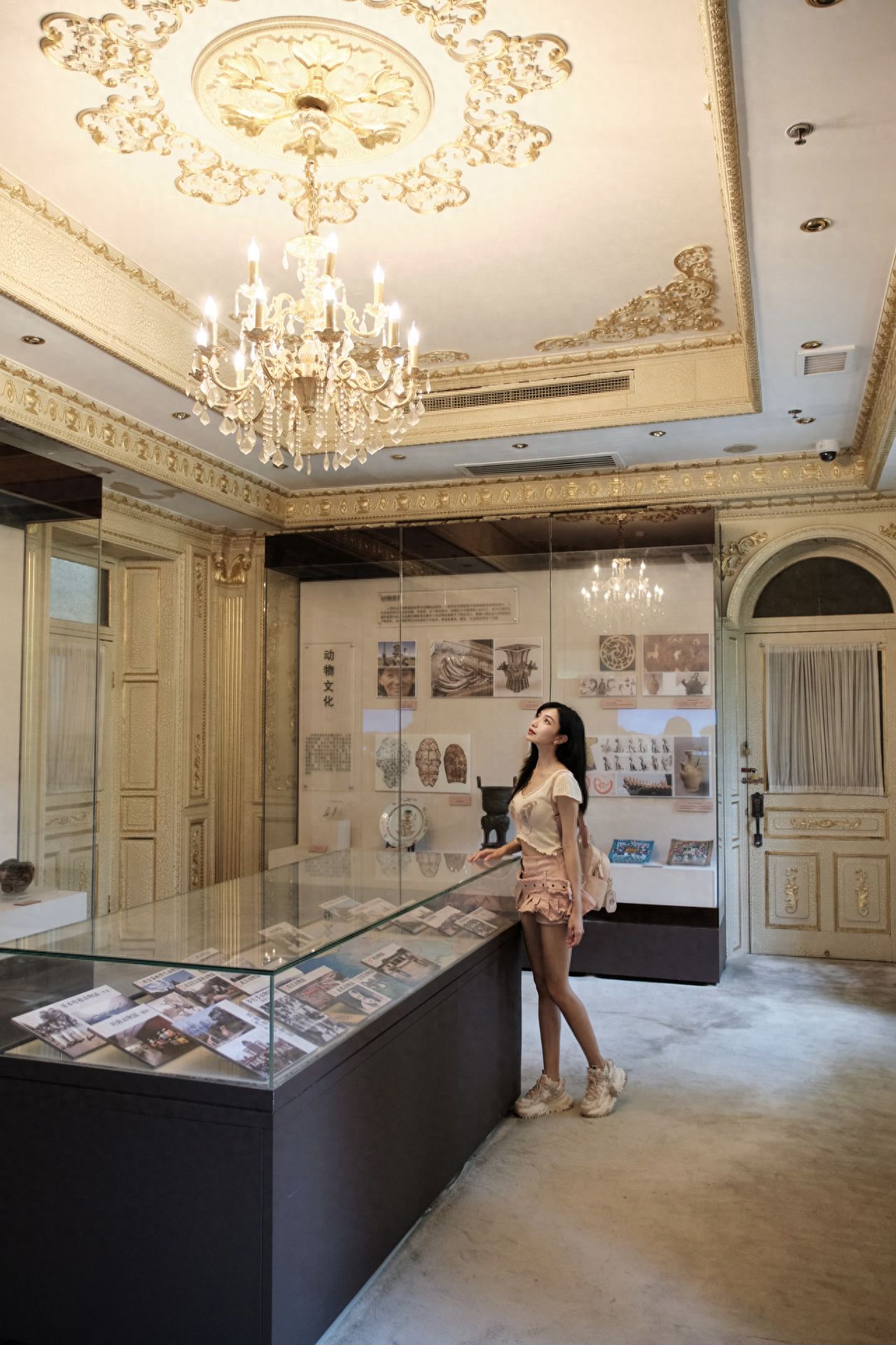 Photo by Beijing Zoo - Changguanlou French Chandelier and Glass Display Cases