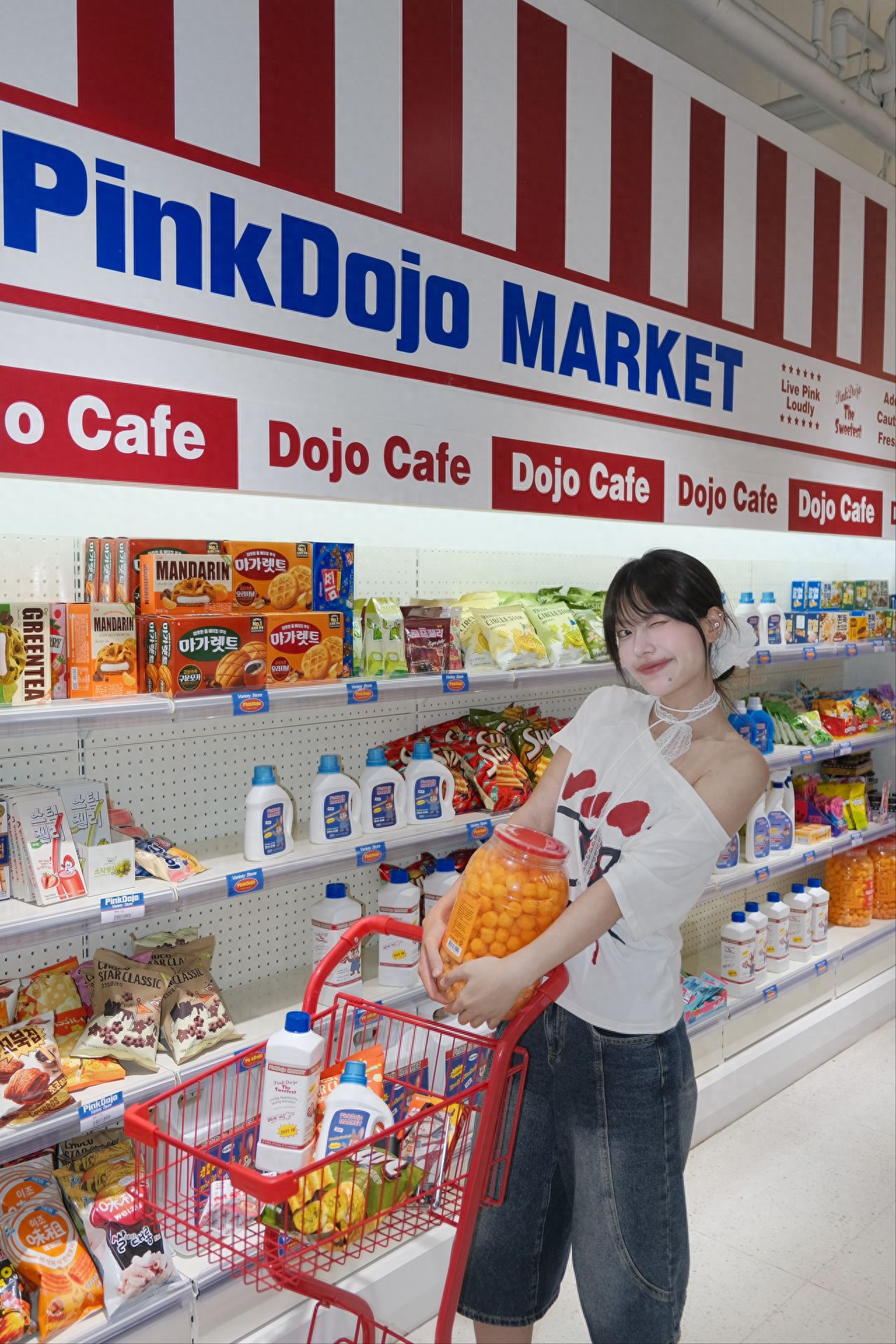 Photo by Beijing PinkDojo - Shelves and Utility Carts