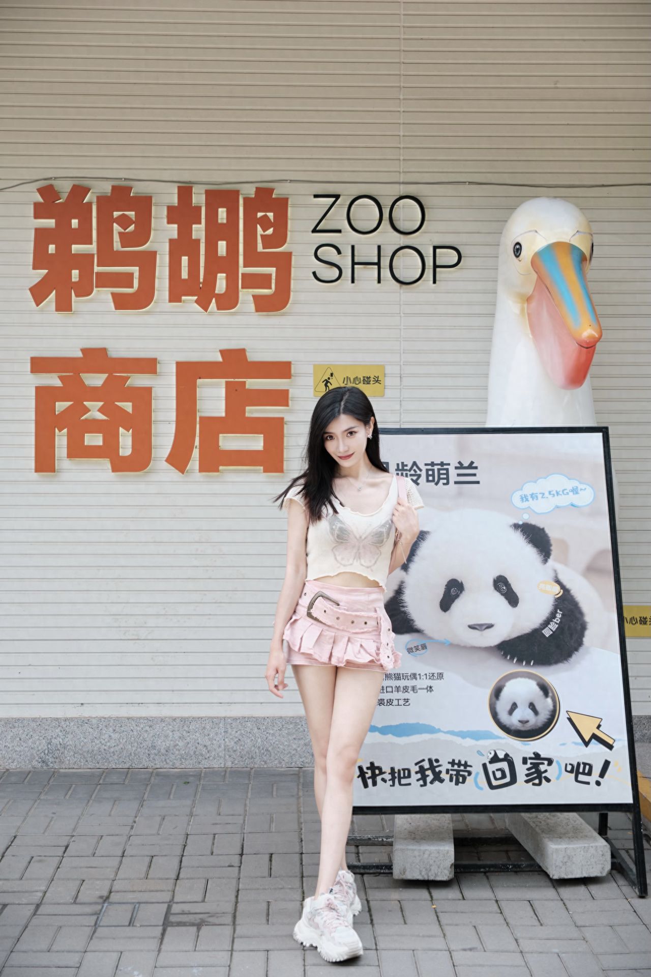 Photo by Beijing Zoo - Pelican Shop and 3D Duck