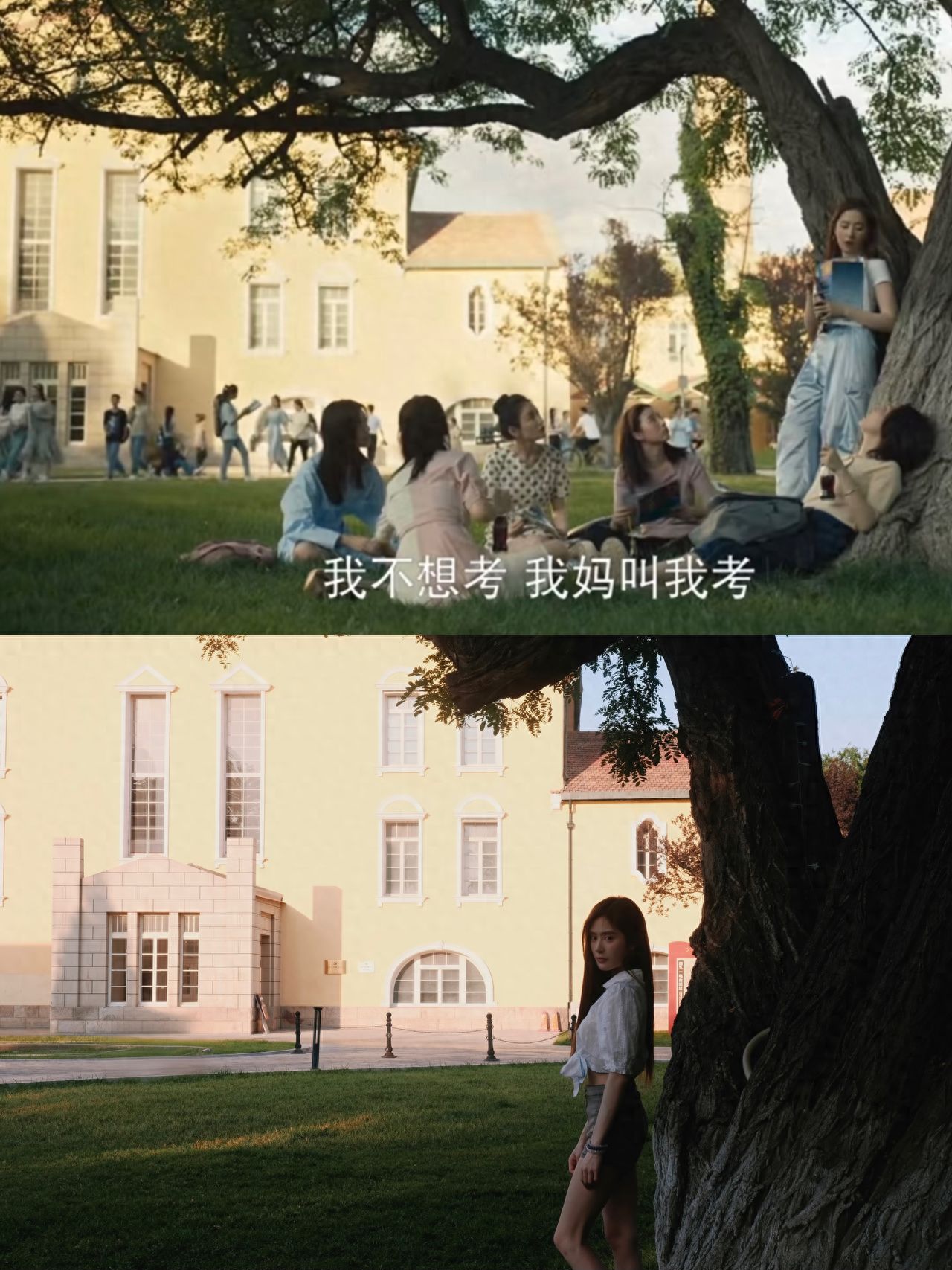 Photo by 491 Space - Yellow Building, Big Tree