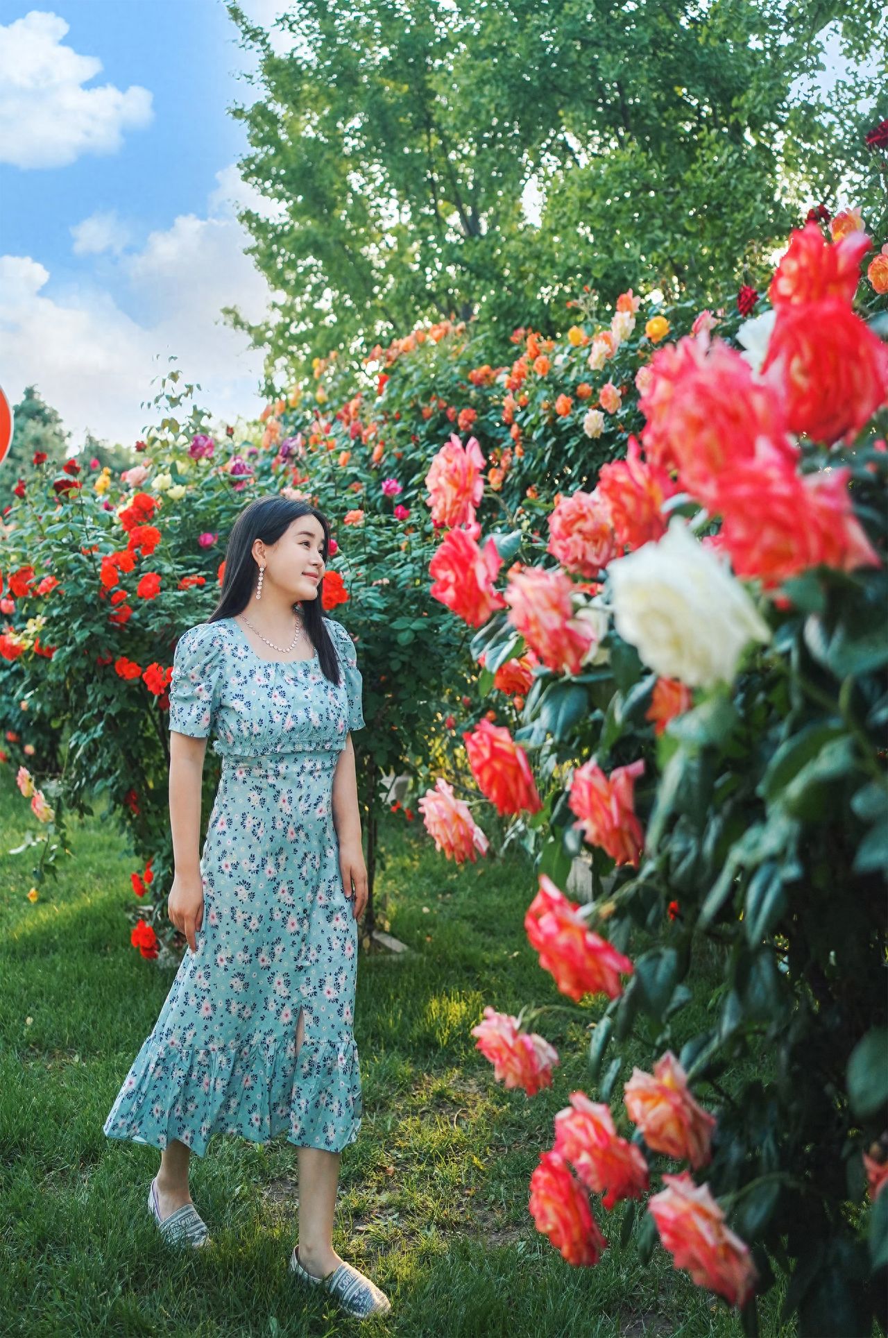 Photo by Blue Harbor - Rose Flower Wall