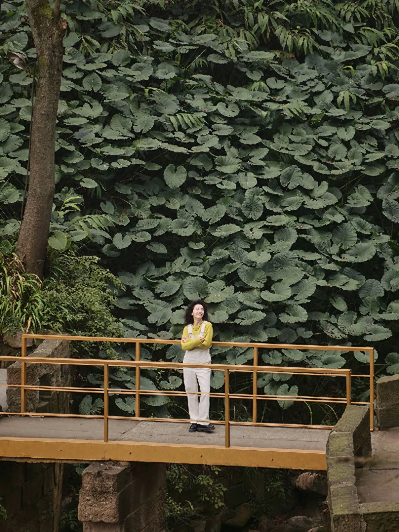 The model stands in the middle of the bridge, leaning against the railing, while the photographer stands at a higher position on the opposite side, taking a slightly downward shot, placing the figure at the center of the lower part of the frame, with the background greenery filling the upper part of the image.

Outfit suggestion: Bright-colored clothing can create more striking photos.