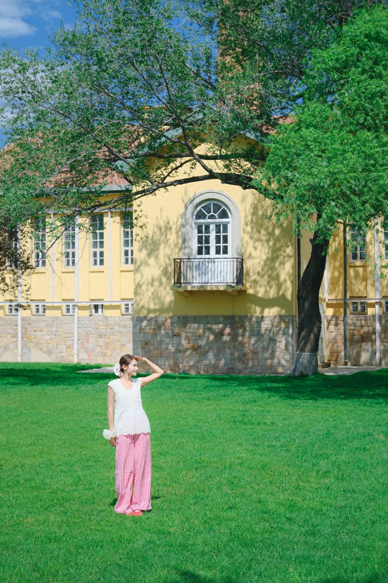 Photo by 491 Space - Arched Windows and the Sacred Tree