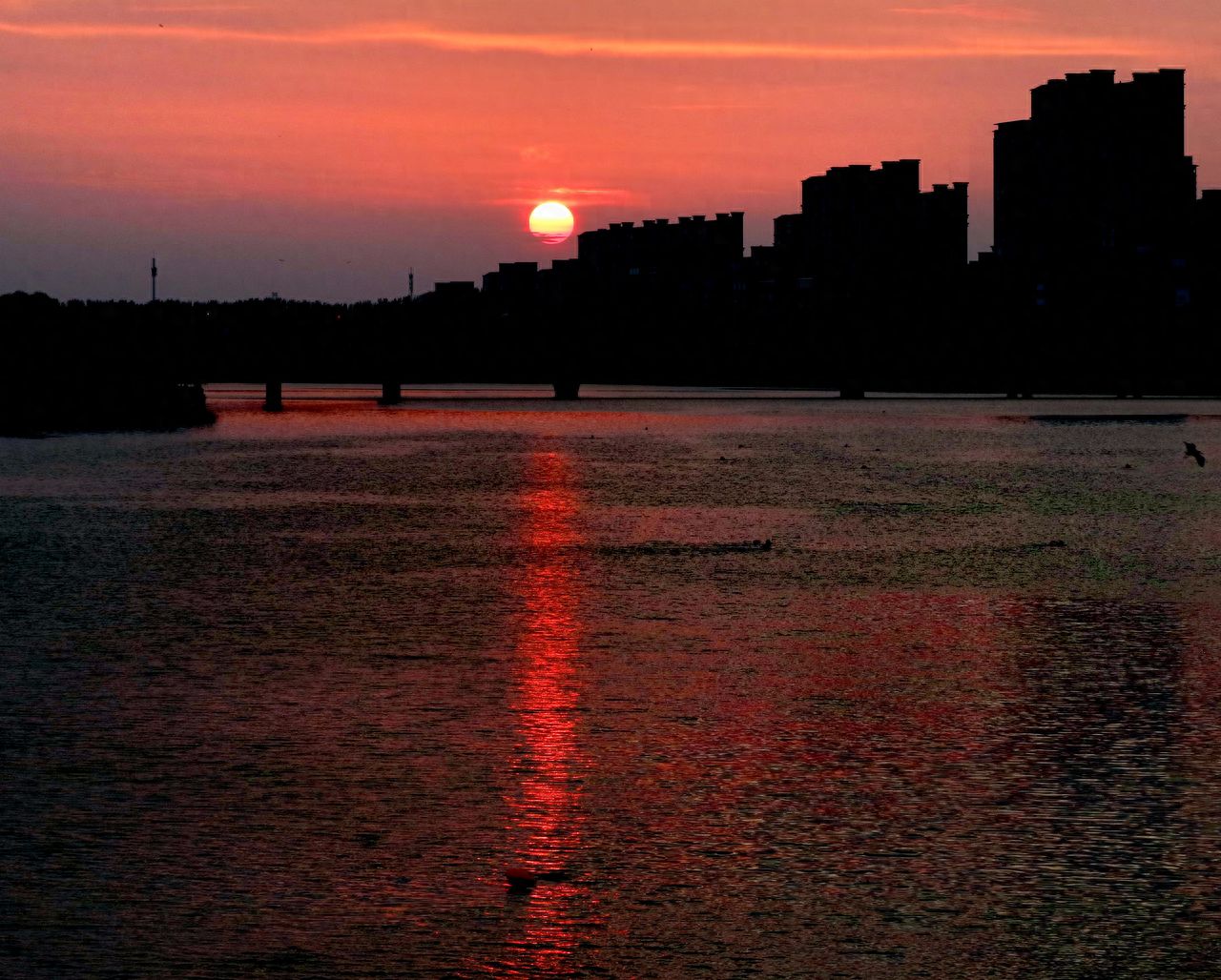 Photo spot in Lingjindu Community, China