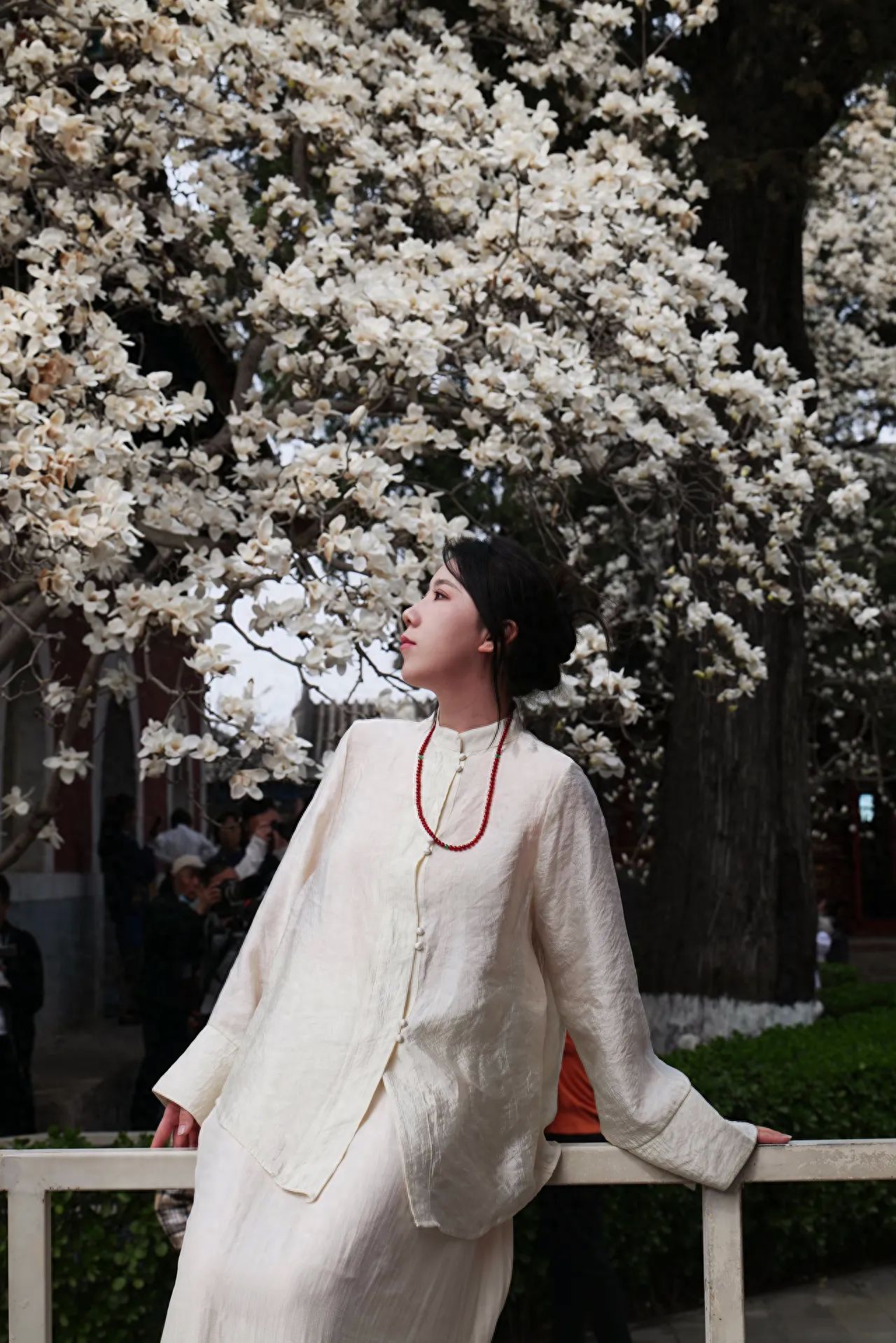 Photo by Take a photo with the magnolia flowers by the railings at the Beijing Wanshou Temple.