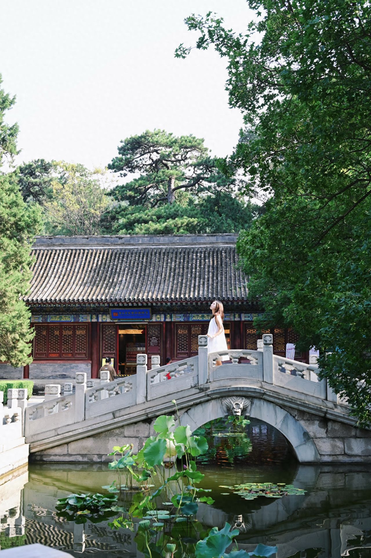 Photo by Beijing Xiangshan Park - Qinzheng Hall Chinese Arch Bridge