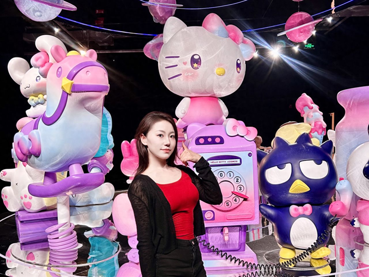 Photo by Beijing Times Art Museum - Call the Black Duck