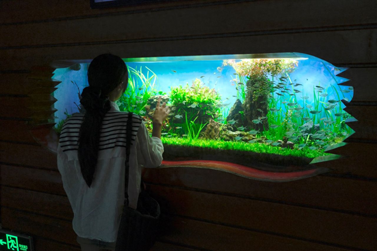 Photo by Pacific Ocean Seabed World Expo - Fish Viewing Window