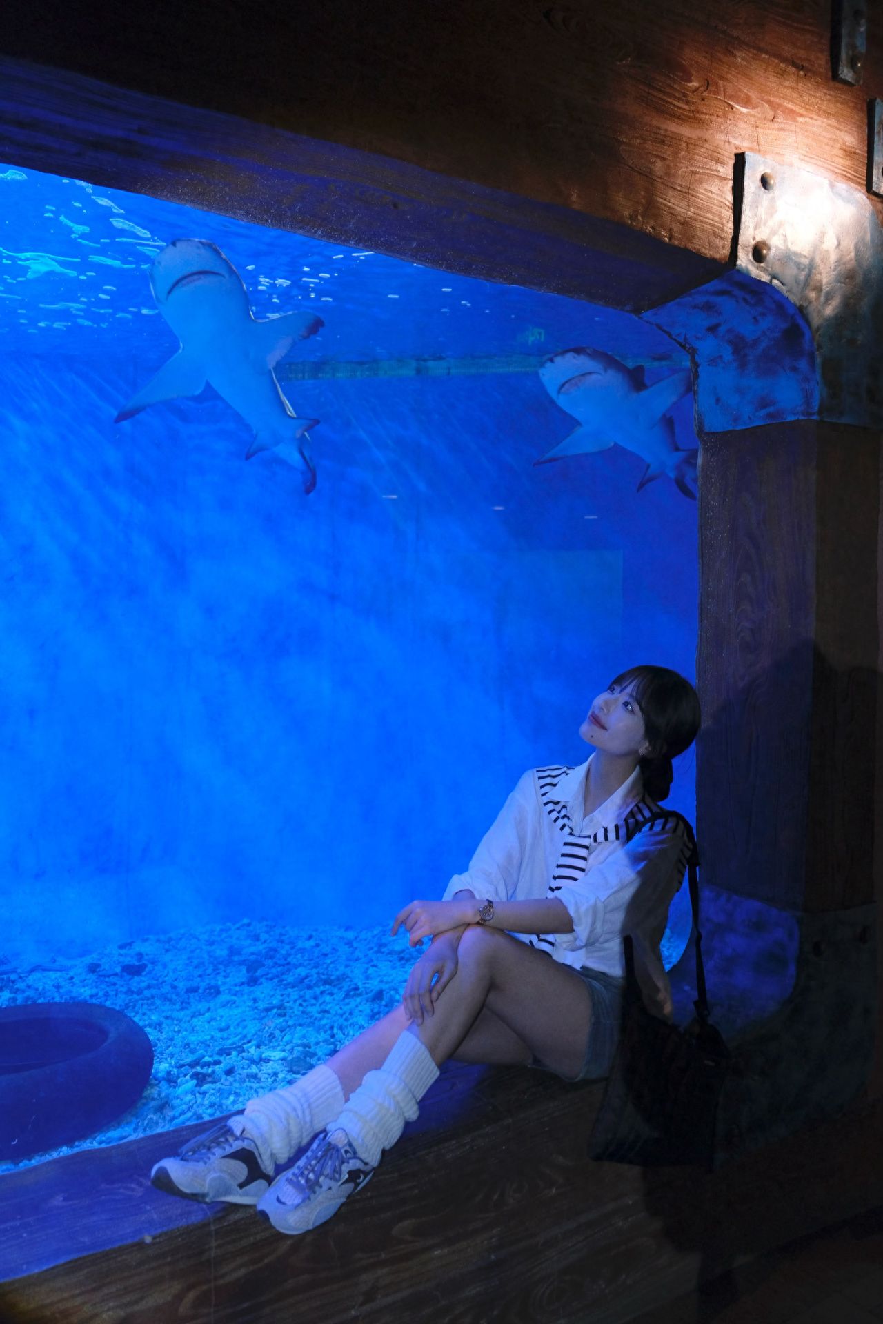 Photo by Pacific Underwater World Expo - Shark Viewing Window