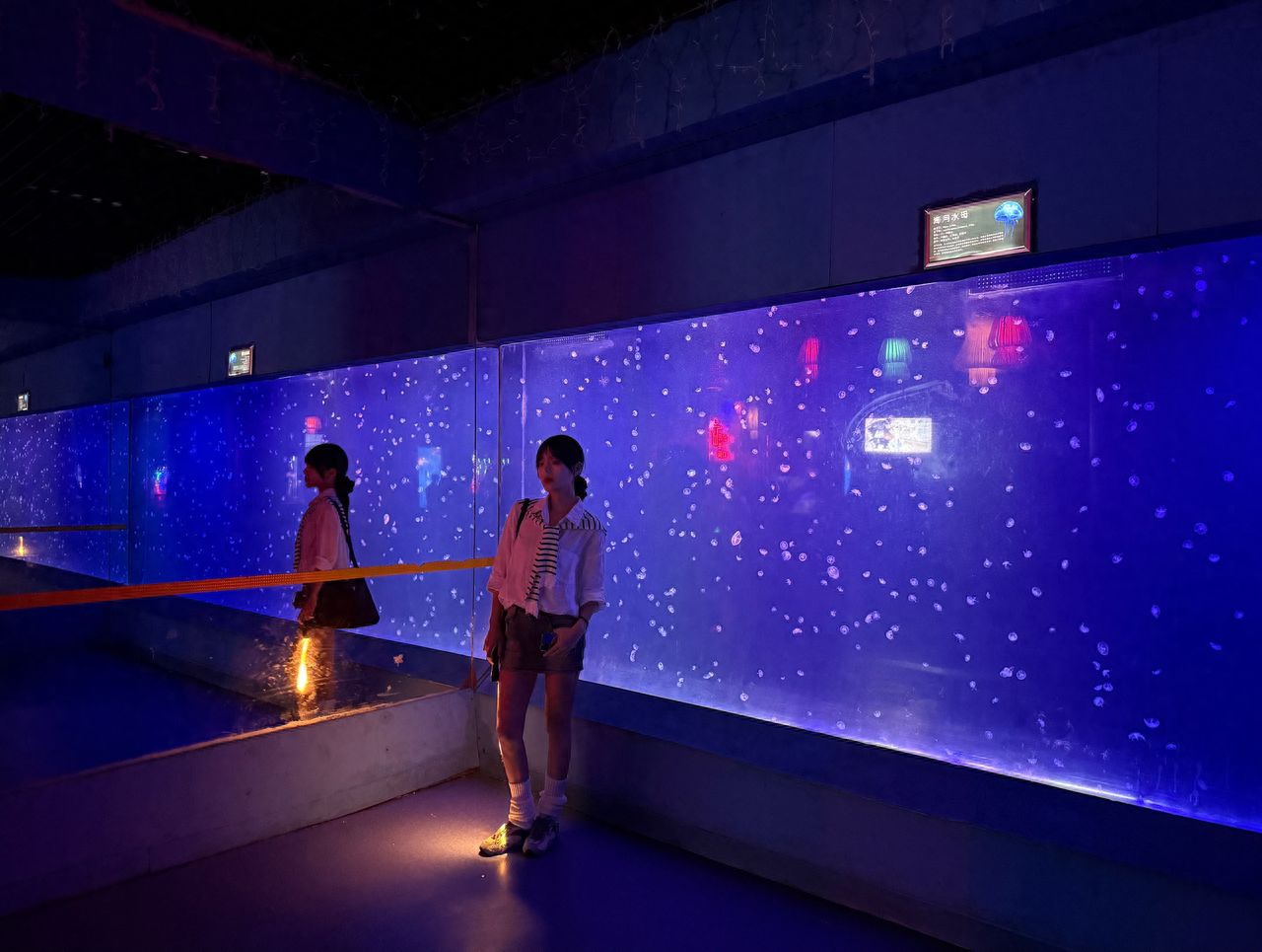 Photo by Pacific Ocean World Expo - Jellyfish Tank Area