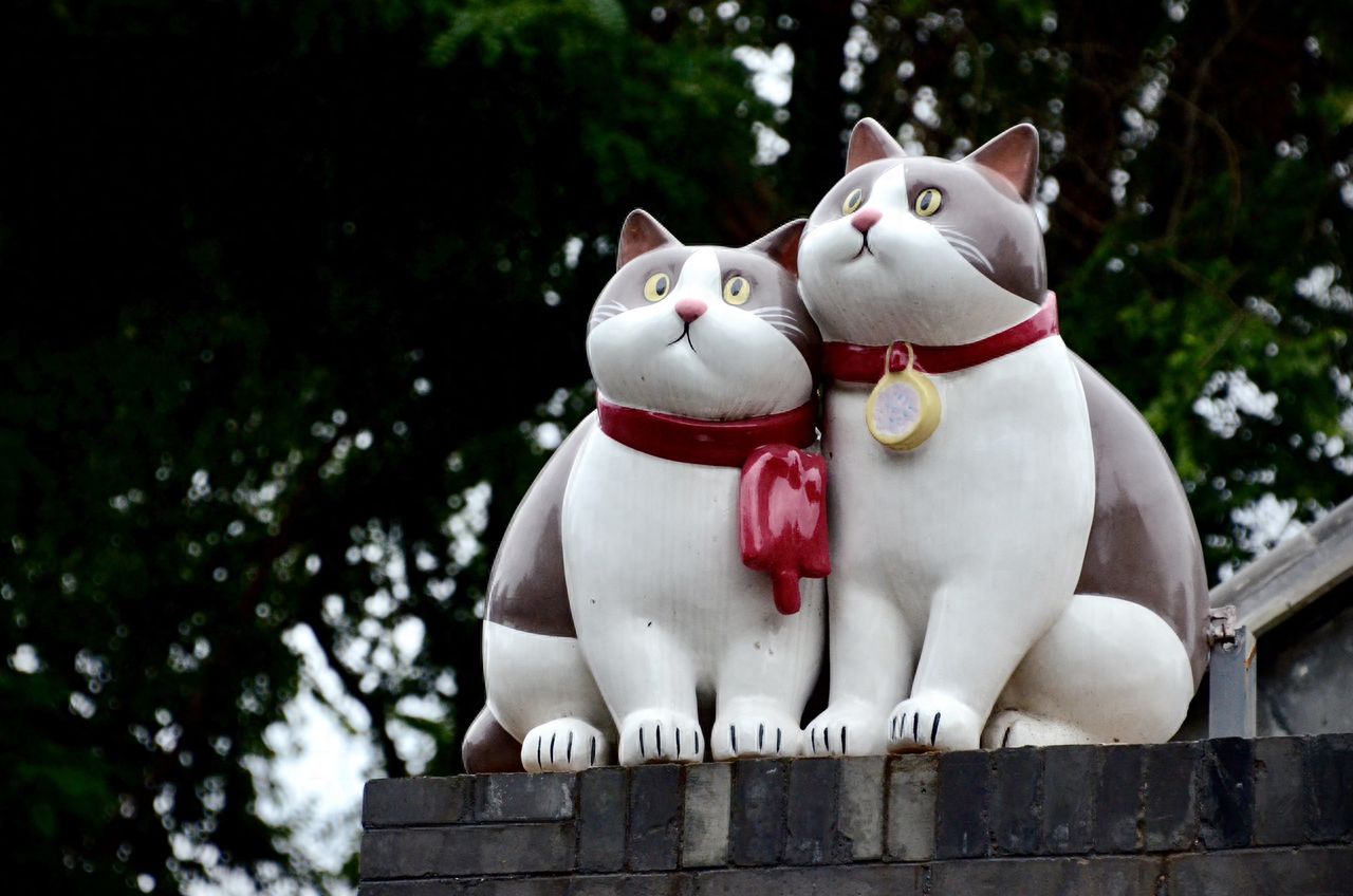 Photo by Lanman Hutong - Two Cat Sculptures