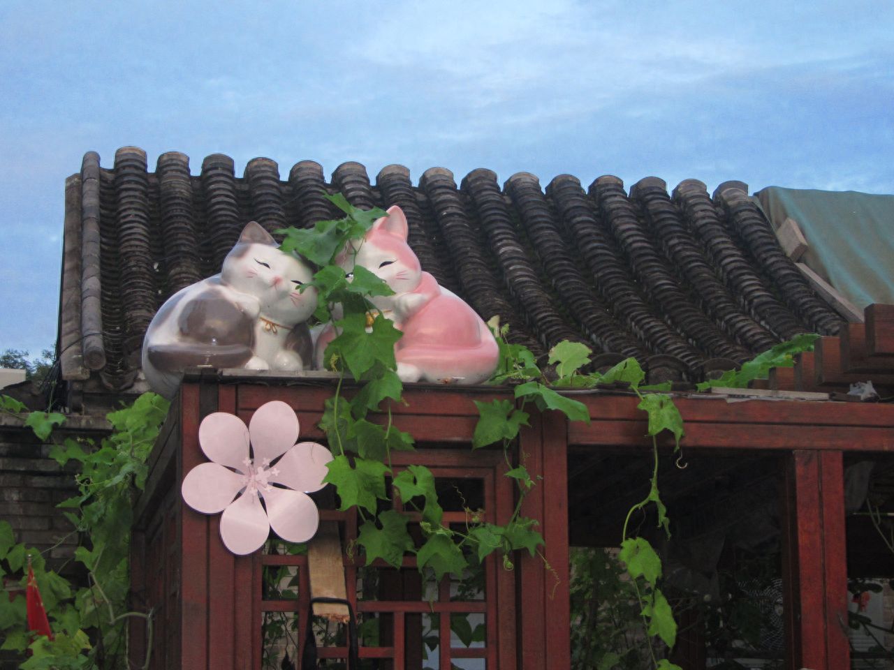 Photo by Lanman Hutong - photographing two cat sculptures on the eaves of an ancient building.