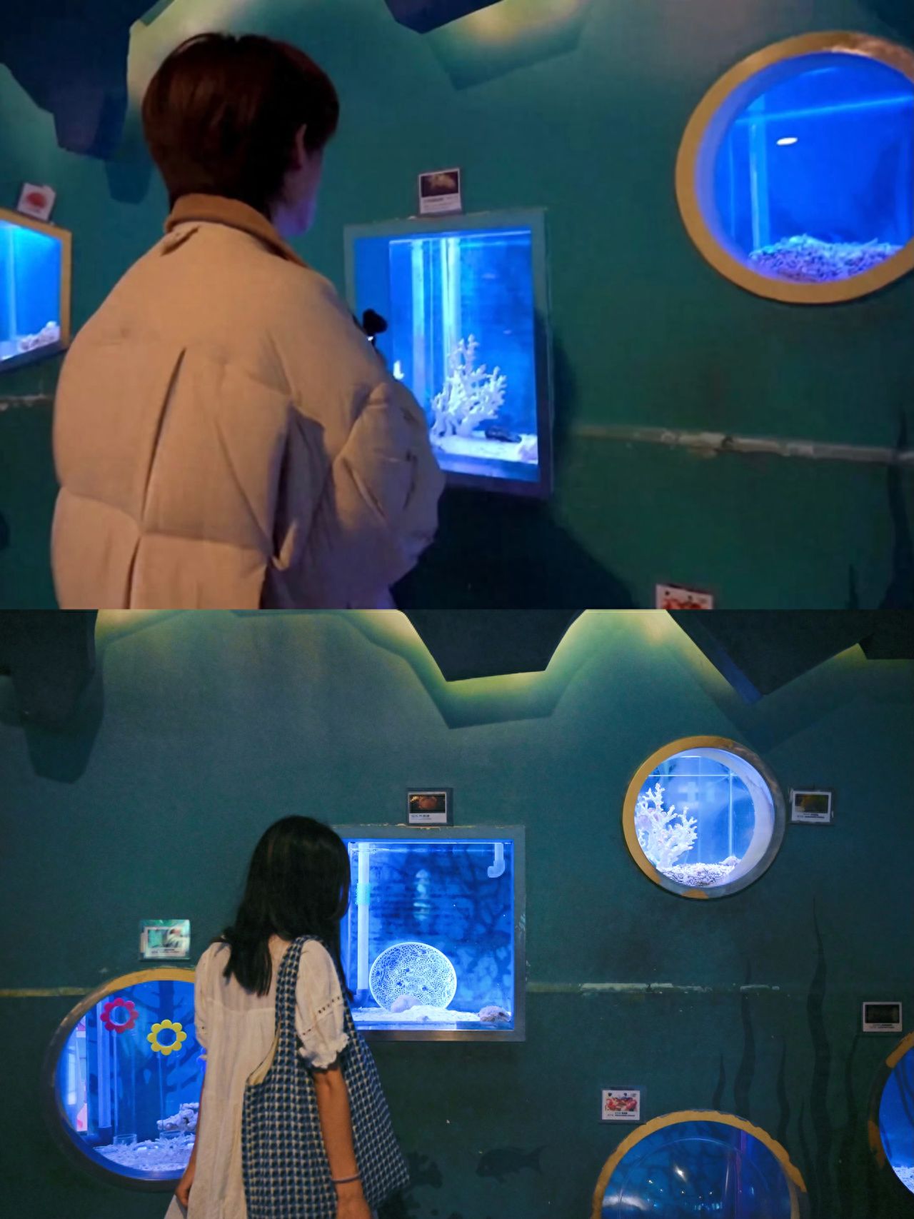 Photo by Beijing Aquarium - Small Fish Tanks