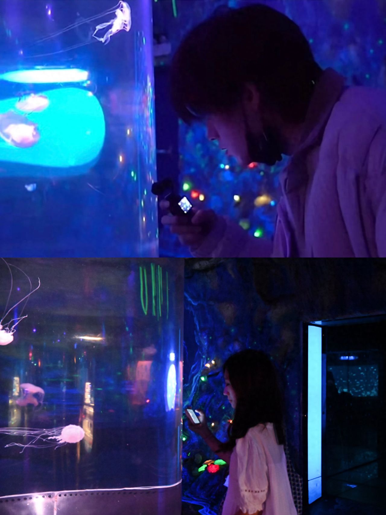 Photo by Beijing Aquarium - Jellyfish Tank, a star spot for the same check-ins