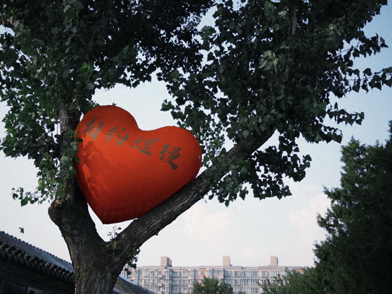 Photo by Romantic Hutong - Heart-shaped Balloons and Hutong Architecture