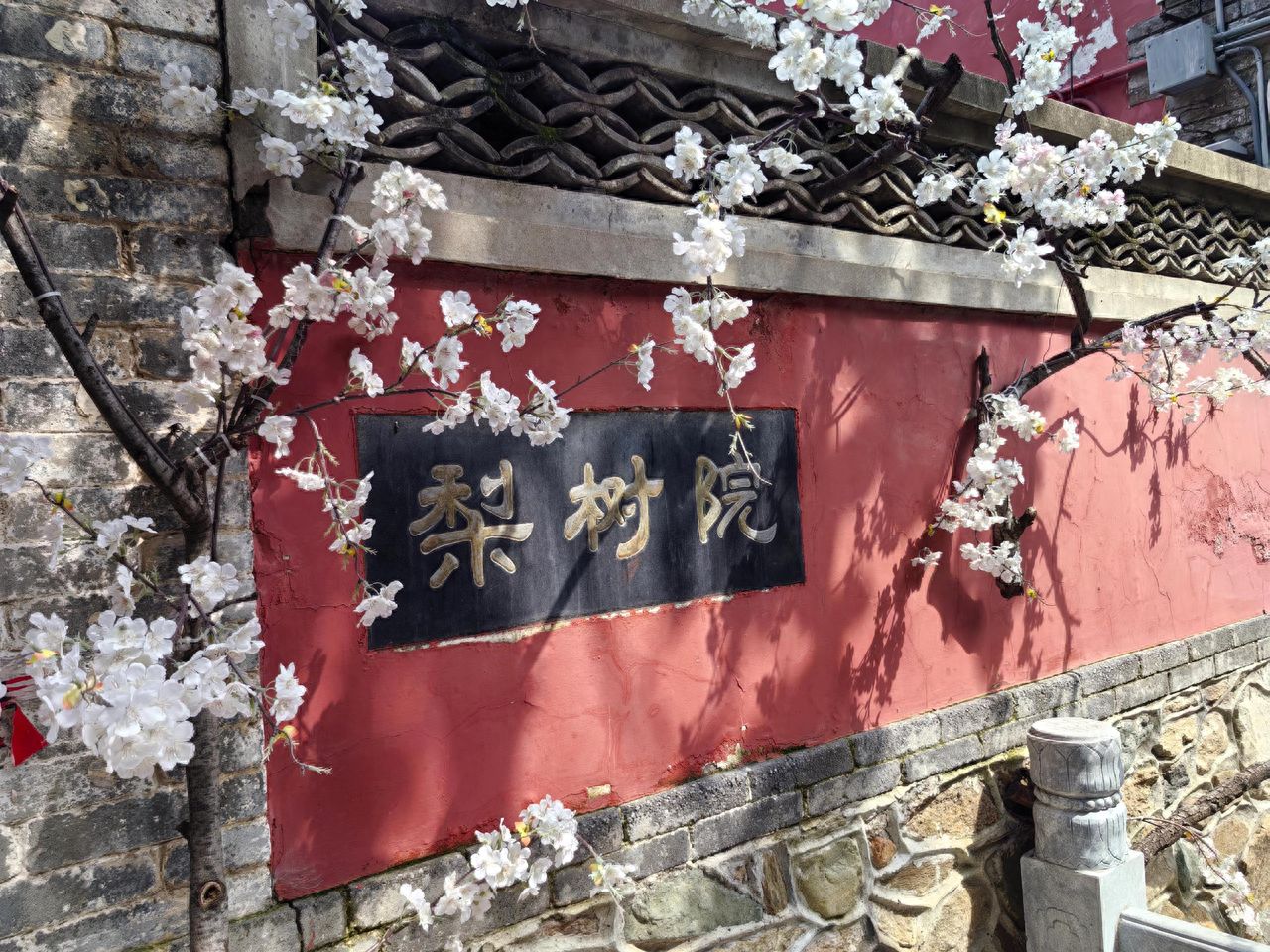Photo by Tanzhe Temple - Plaque with Red Wall and White Flowers in the Pear Tree Courtyard