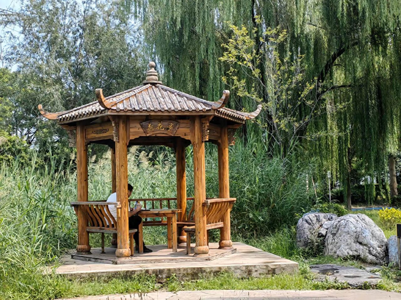 Photo by Beijing Taiyanggong Park - Lotus Pavilion, Forest, and Willow Trees