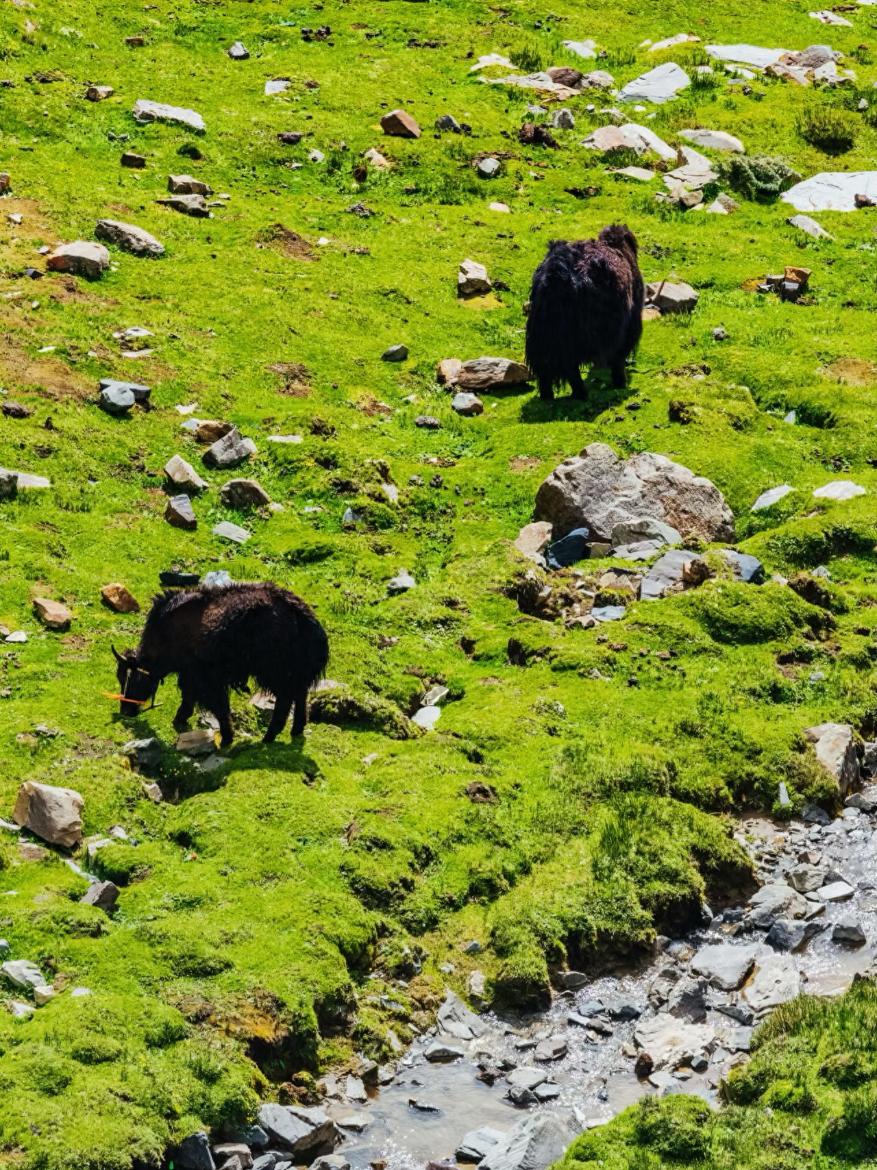 Photo spot in Lin Zong Village, China