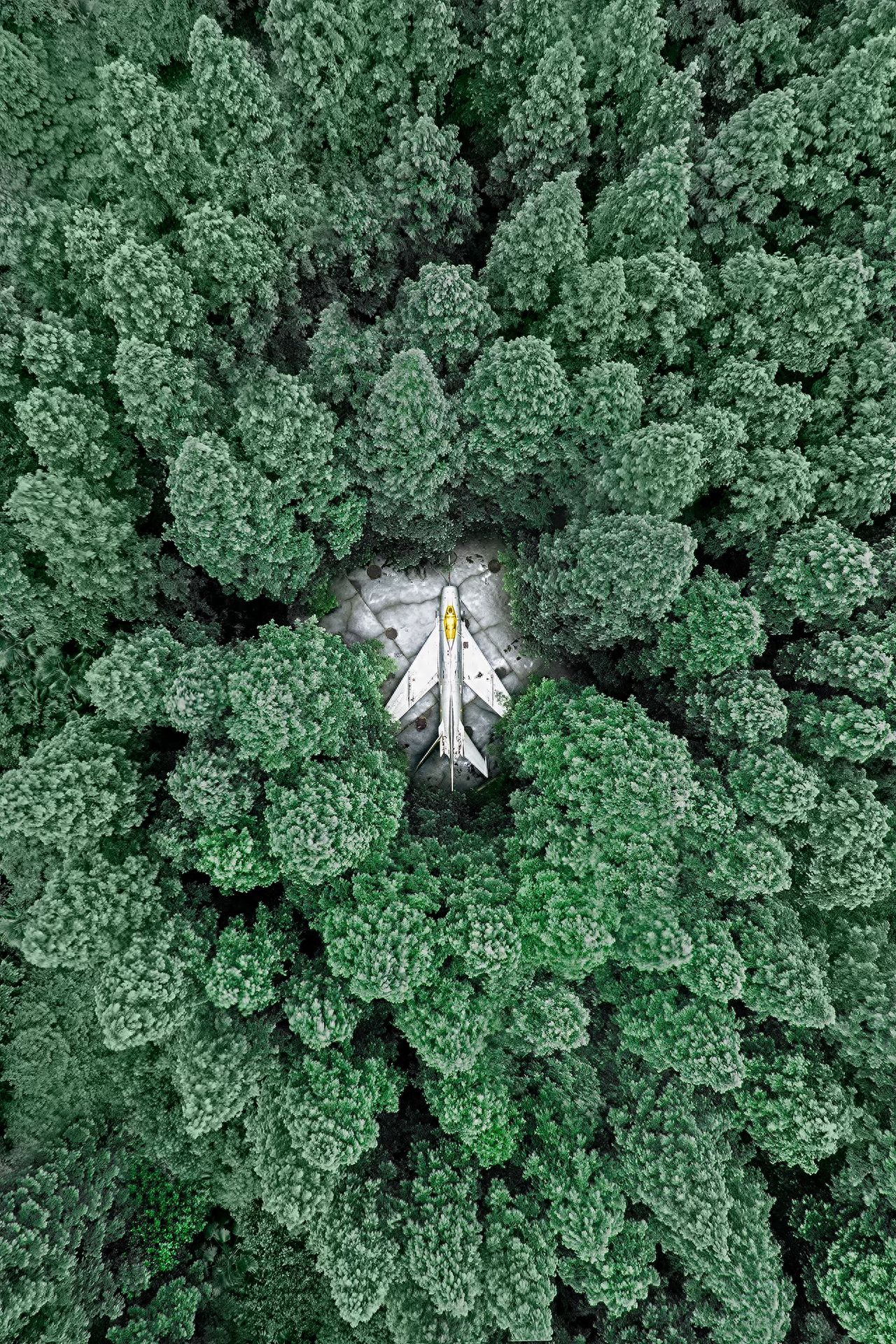 Use a high-angle bird's-eye view to place the plane in the center of the frame, with a centralized composition to highlight the subject. The shot should include the central plane and the surrounding dense forest, creating a visual effect of a green sea of trees enveloping the plane.

Shooting time: It is recommended to choose a sunny day when the lighting is good, making it easier to produce good photos.