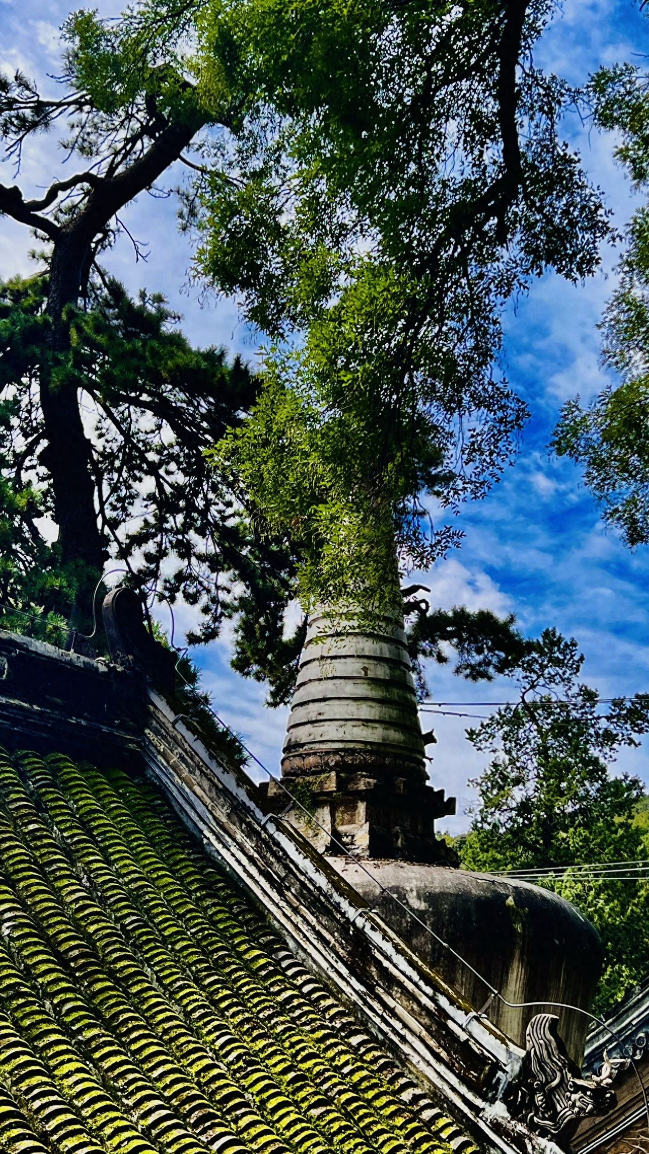 Photo by Tanzhe Temple - Ancient Architectural Roofs and Stone Pagodas Amidst Green Trees