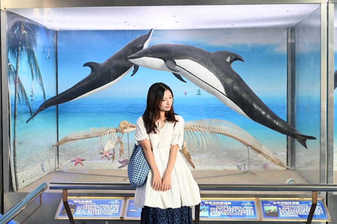 Photo by Beijing Aquarium - Whale Tank