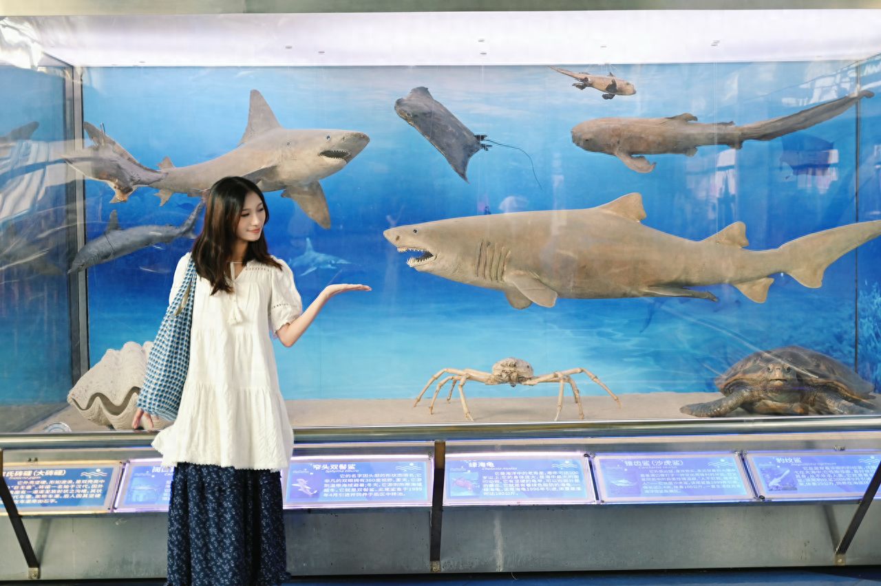 Photo by Beijing Aquarium - Shark Specimens