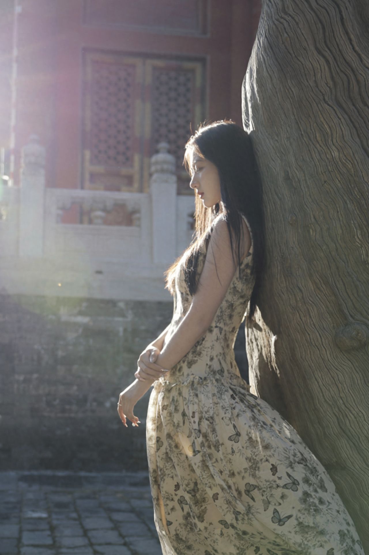 Photo by Beijing Imperial Academy - Take a photo with the tree trunks and ancient stone railings of the architecture.