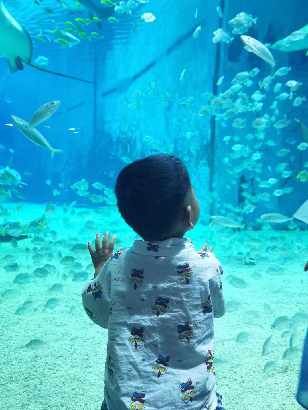 Photo by Beijing Zoo Main Entrance - Group Photo with Fish School