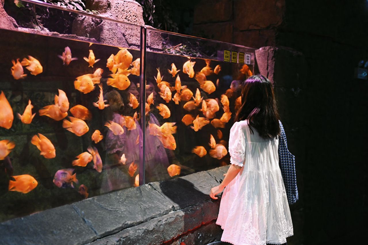 Photo by Beijing Aquarium - Bloody Parrotfish Exhibition Tank