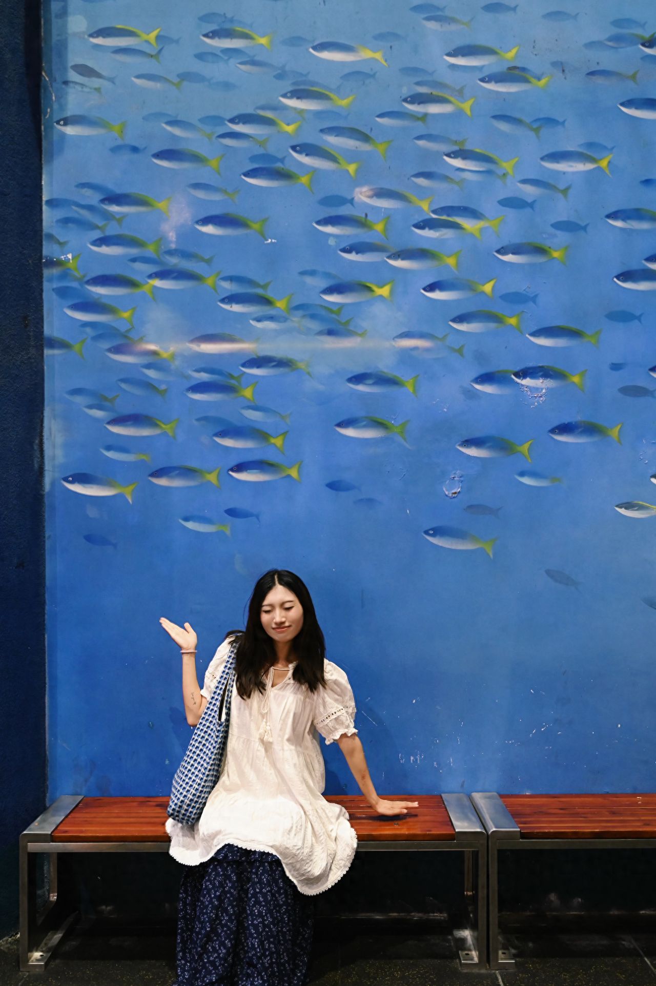 Photo by Beijing Aquarium - School of Fish Mural