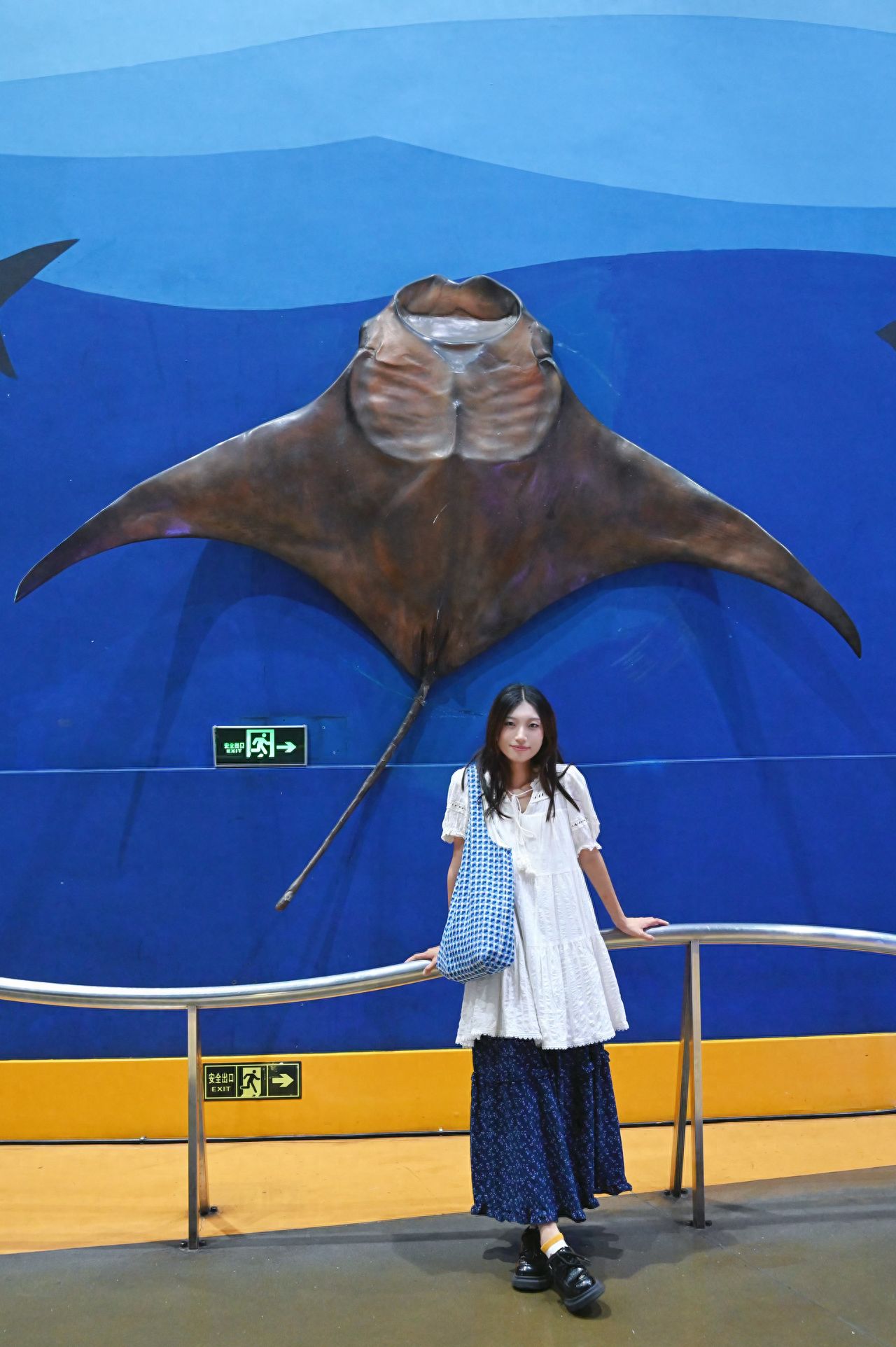 Photo by Beijing Aquarium - Rainforest Wonders Manta Ray Model