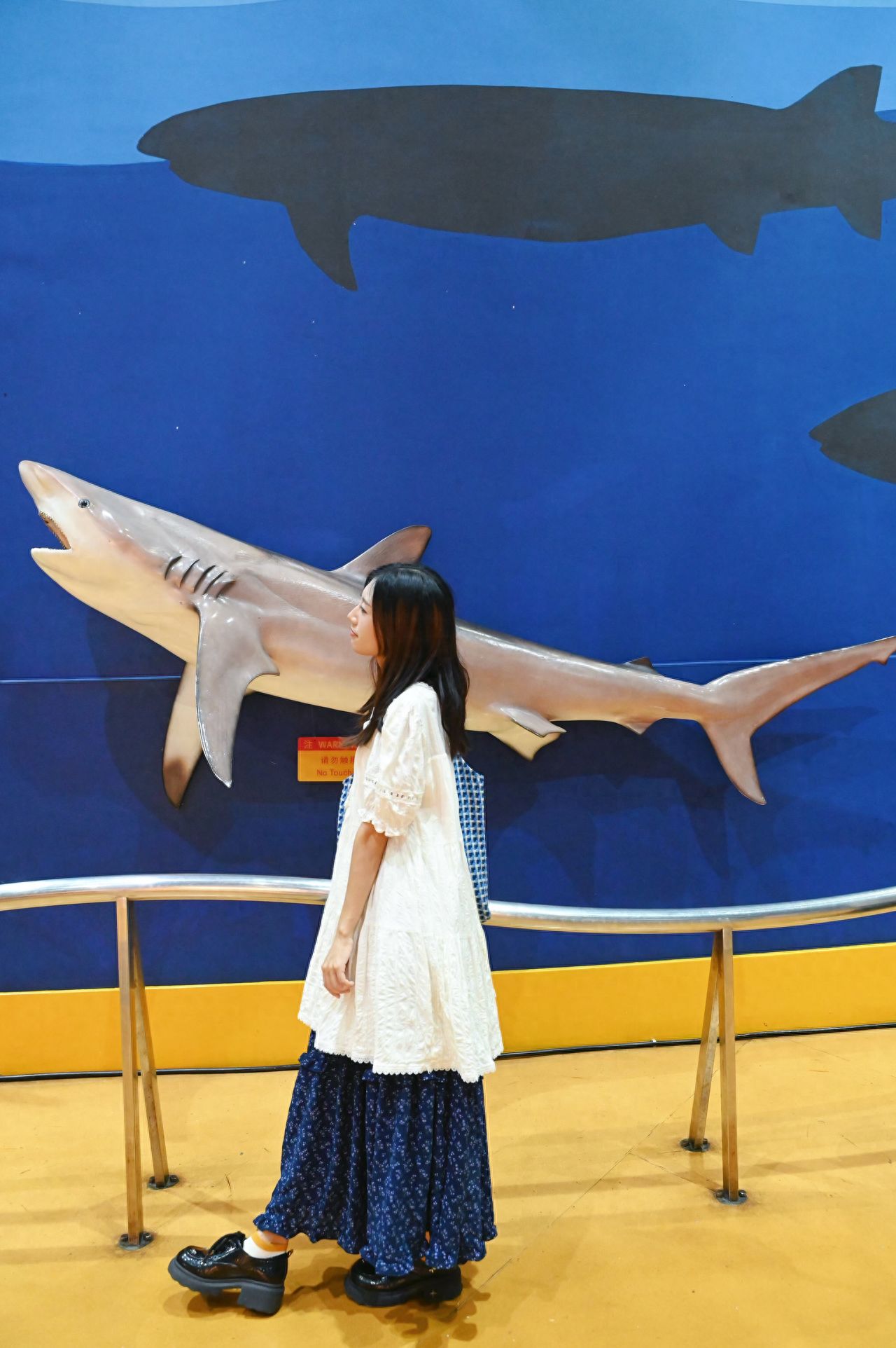 Photo by Beijing Aquarium - Great White Shark Model