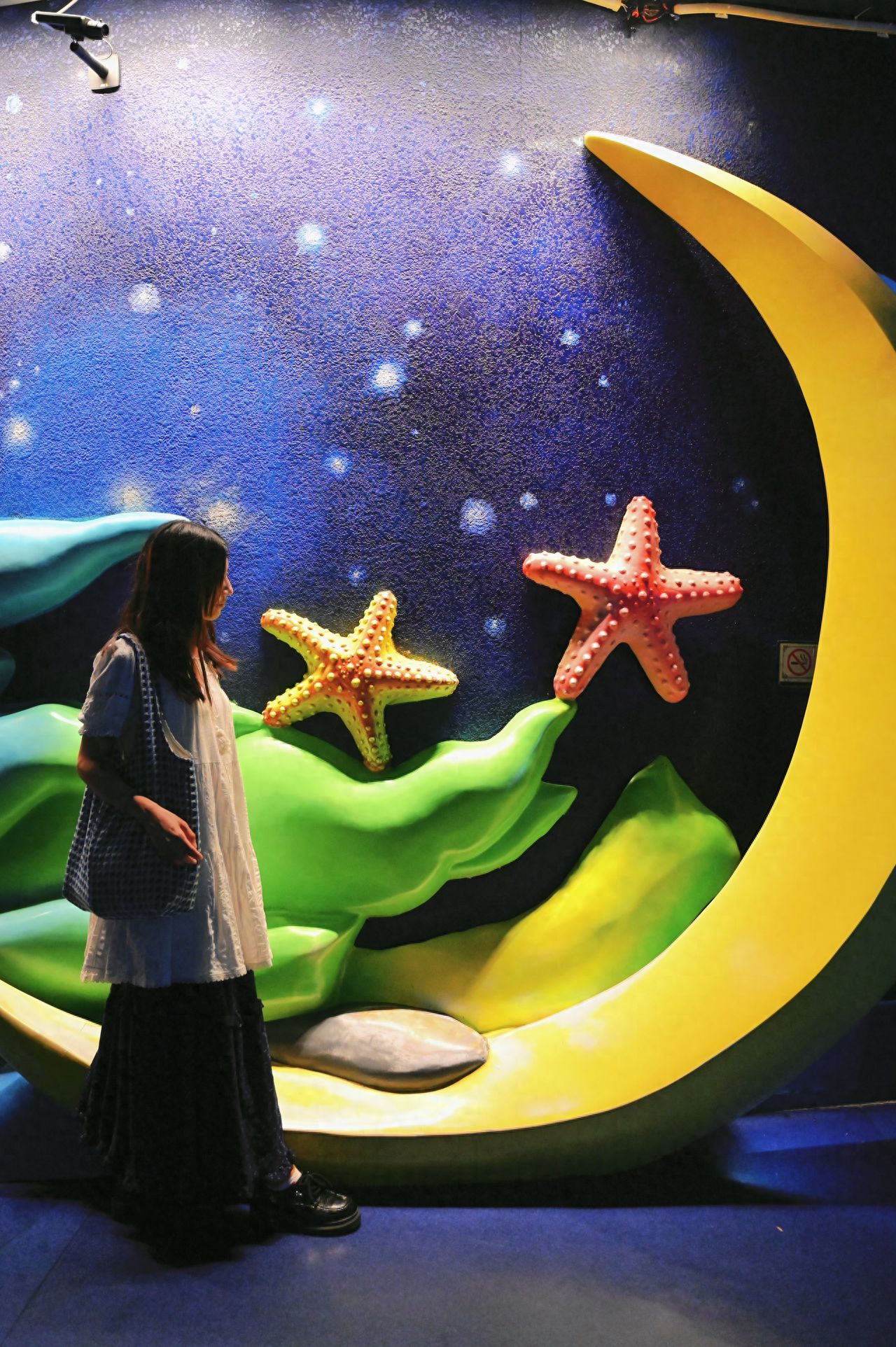 Photo by Beijing Aquarium - Starfish Relief Wall