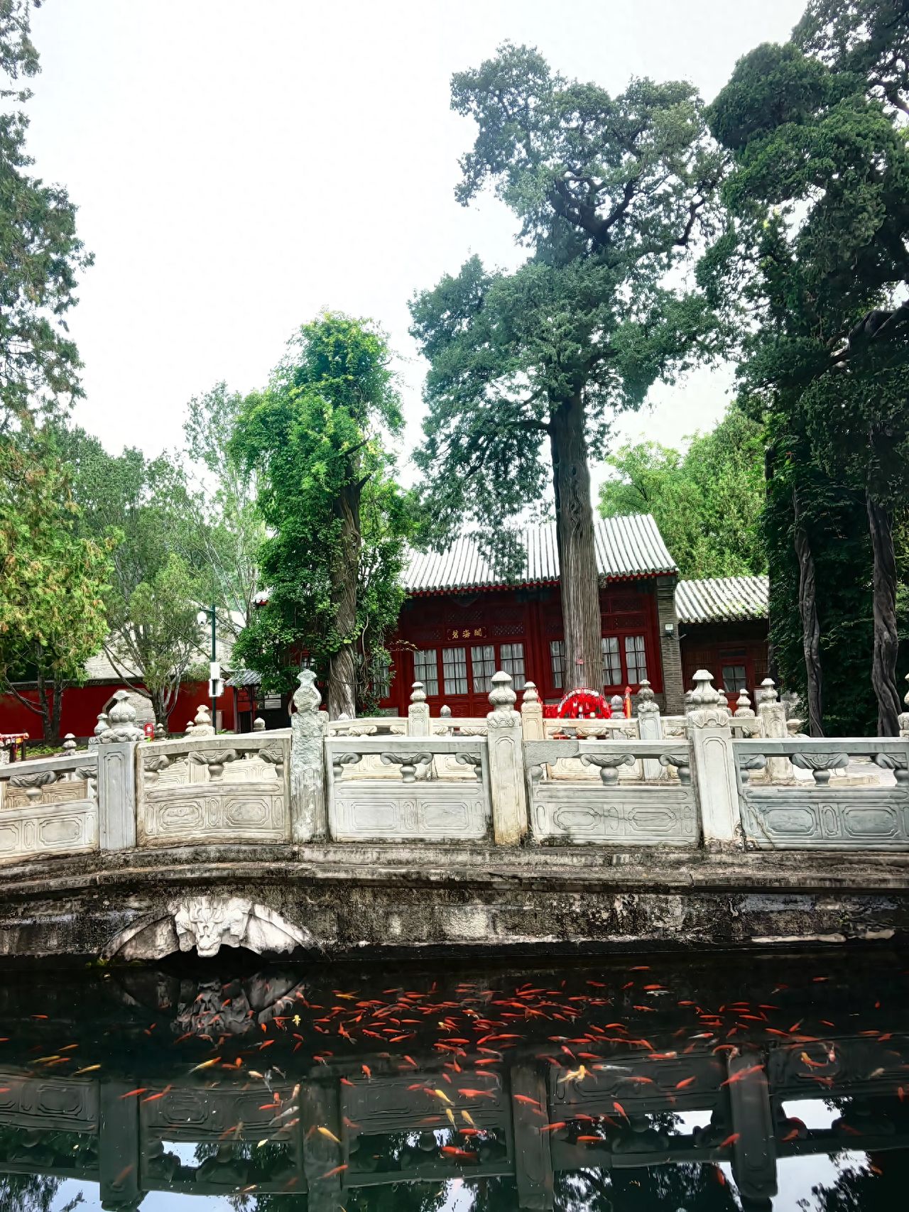 Photo by Beijing Biyun Temple - Photography of temple architecture, trees, stone bridges, and reflections in the lake water.